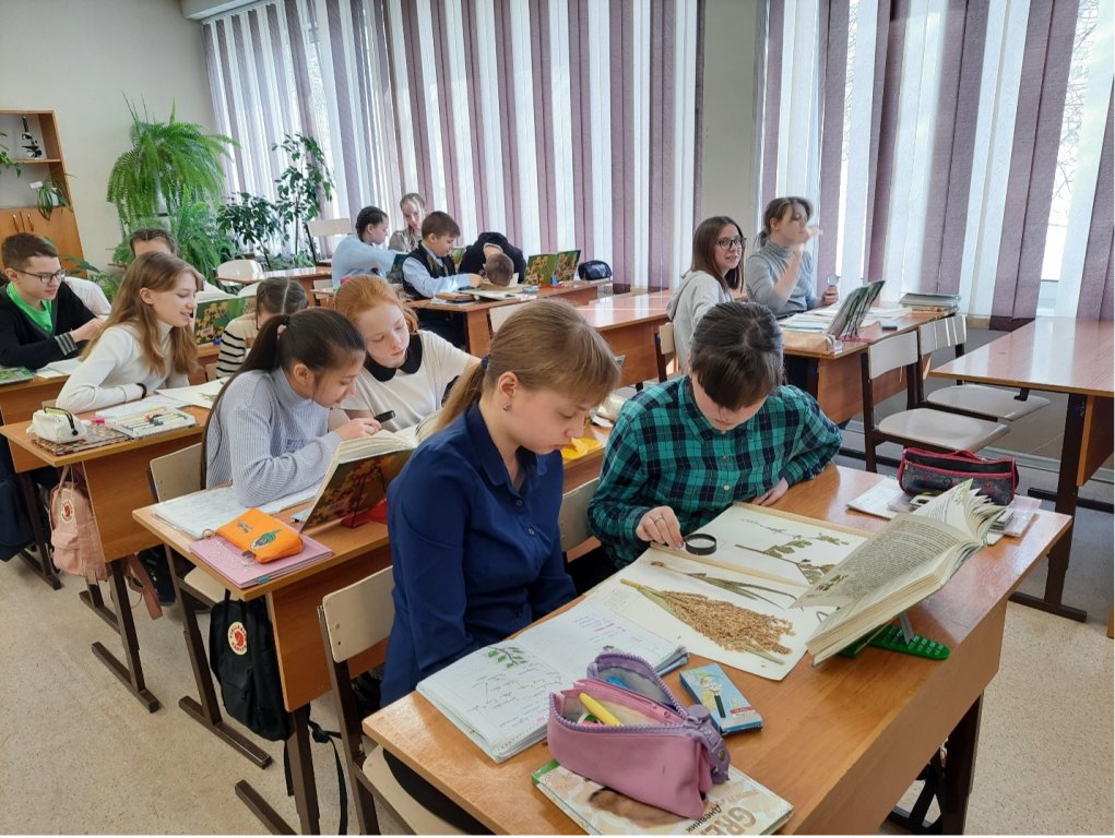 Урок биологии: «Основы классификации цветковых растений».